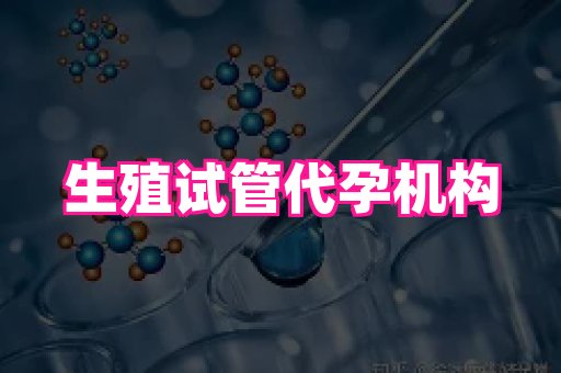 海口助孕网站 1