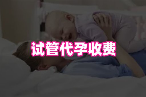 海口助孕网站 2