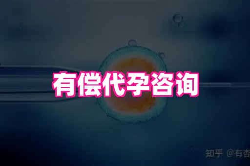 海口助孕网站 3