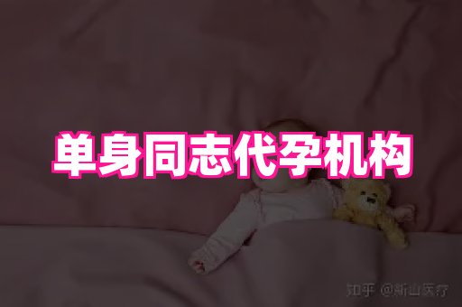 海口助孕网站 4
